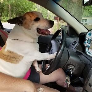 Meet your Posher, Lacy